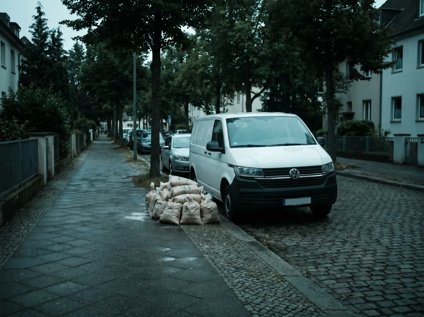 White service van on a German residential street at dawn